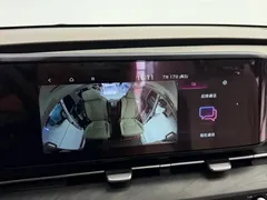 2021 Kia Carnival 2.0T Flagship, белый — фото 14
