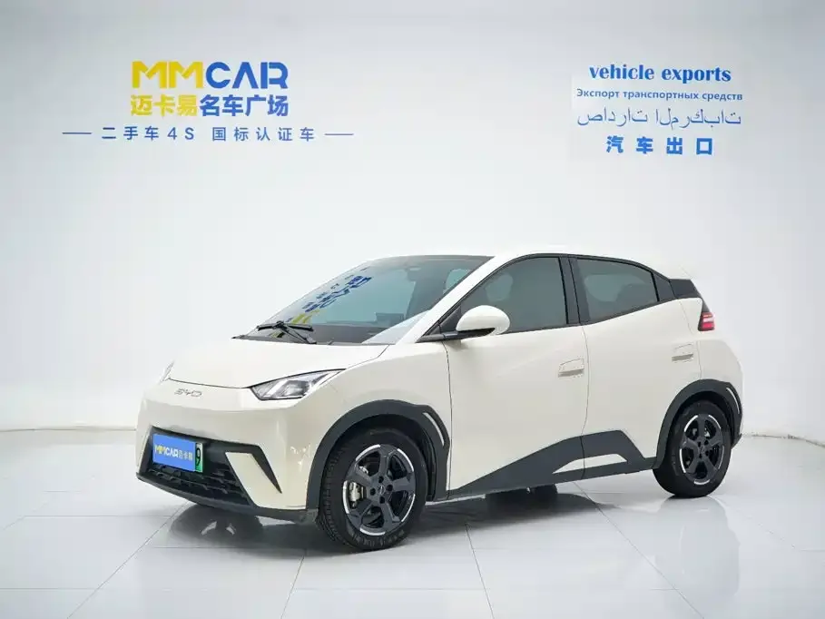 2023 BYD Seagull