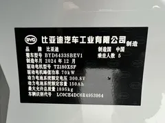 2024 BYD Yuan UP 401km Vitality, белый — фото 26