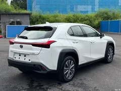 2020 Lexus UX 300e EV, белый — фото 13