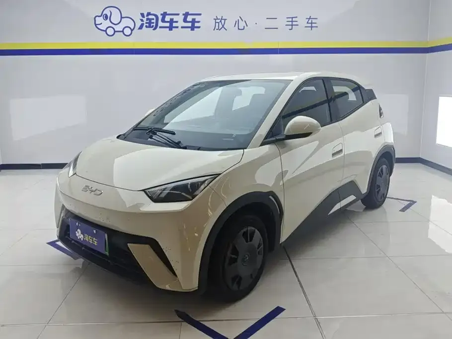 2025 BYD Seagull 305km Vitality