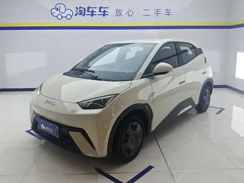 2025 BYD Seagull 305km Vitality