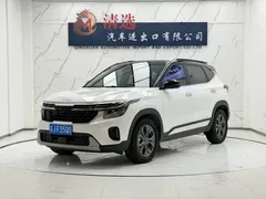 2023 Kia Seltos 1.5L CVT Luxury, белый — фото 1