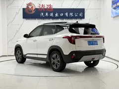 2023 Kia Seltos 1.5L CVT Luxury, белый — фото 4