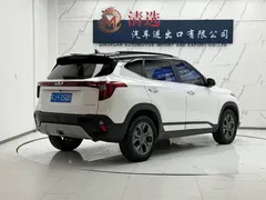 2023 Kia Seltos 1.5L CVT Luxury, белый — фото 6