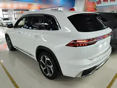 2021 Geely Monjaro 2.0TD DCT EVO 2WD Premium, белый — фото 5