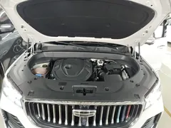 2021 Geely Monjaro 2.0TD DCT EVO 2WD Premium, белый — фото 20