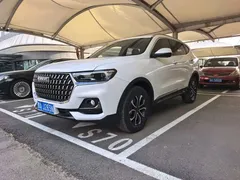 2023 Haval H6 1.5T AT Guochao Champion, белый — фото 1