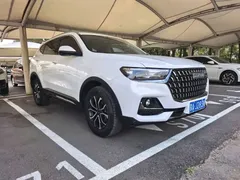 2023 Haval H6 1.5T AT Guochao Champion, белый — фото 3