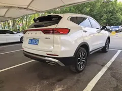 2023 Haval H6 1.5T AT Guochao Champion, белый — фото 16