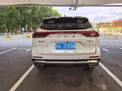 2023 Haval H6 1.5T AT Guochao Champion, белый — фото 17