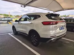 2023 Haval H6 1.5T AT Guochao Champion, белый — фото 18