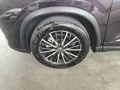 2021 Chery Tiggo 8 Pro 290TGDI DCT — фото 23