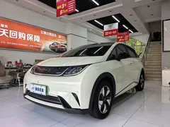 2024 BYD Dolphin Honor 420km Fashion, белый — фото 1