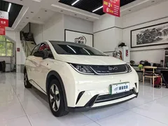2024 BYD Dolphin Honor 420km Fashion, белый — фото 2