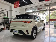 2024 BYD Dolphin Honor 420km Fashion, белый — фото 11