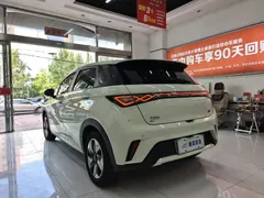 2024 BYD Dolphin Honor 420km Fashion, белый — фото 12