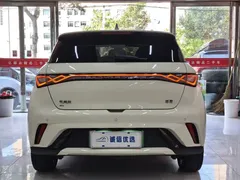 2024 BYD Dolphin Honor 420km Fashion, белый — фото 13