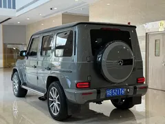 2020 Mercedes-Benz G-Class G 350 — фото 17
