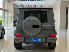 2020 Mercedes-Benz G-Class G 350 — фото 18