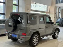 2020 Mercedes-Benz G-Class G 350 — фото 19