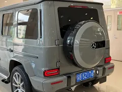 2020 Mercedes-Benz G-Class G 350 — фото 20