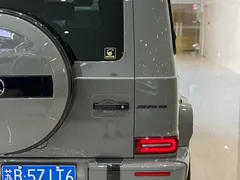 2020 Mercedes-Benz G-Class G 350 — фото 21