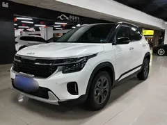 2023 Kia Seltos 1.5L CVT Luxury, белый — фото 1