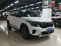 2023 Kia Seltos 1.5L CVT Luxury, белый — фото 3