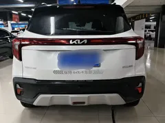 2023 Kia Seltos 1.5L CVT Luxury, белый — фото 8