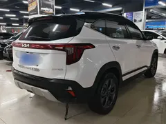 2023 Kia Seltos 1.5L CVT Luxury, белый — фото 9