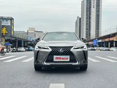 2020 Lexus UX 260h Explore Fun — фото 2