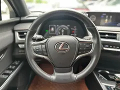 2020 Lexus UX 260h Explore Fun — фото 9