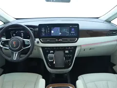 2023 Hongqi HQ9 2.0T — фото 21