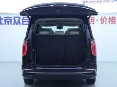 2023 Hongqi HQ9 2.0T — фото 27