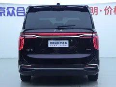 2023 Hongqi HQ9 2.0T — фото 28