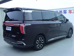 2023 Hongqi HQ9 2.0T — фото 30