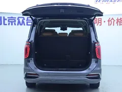 2023 Hongqi HQ9 2.0T — фото 28