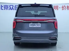 2023 Hongqi HQ9 2.0T — фото 29