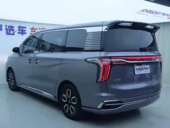 2023 Hongqi HQ9 2.0T — фото 30