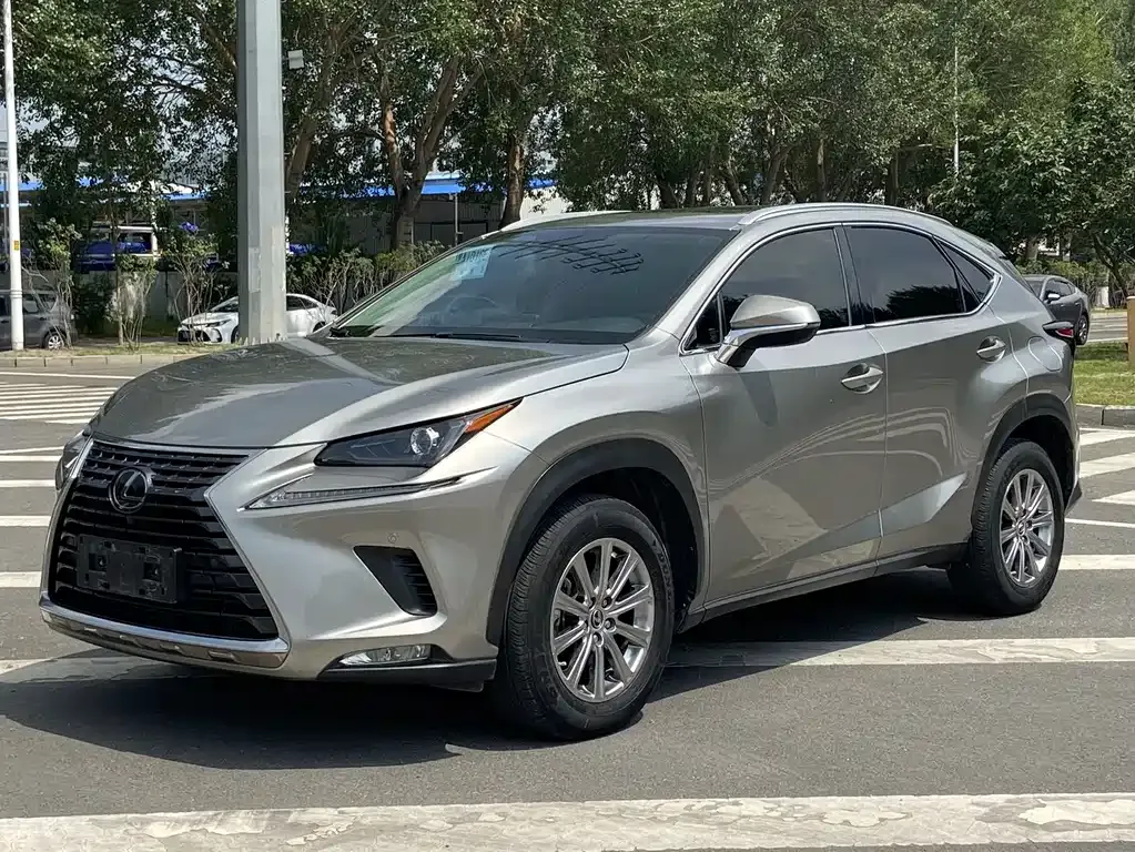 2020 Lexus NX 200 Fashion VI