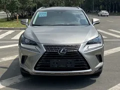 2020 Lexus NX 200 Fashion VI — фото 3