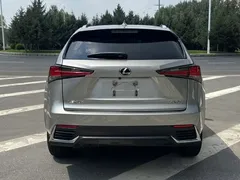 2020 Lexus NX 200 Fashion VI — фото 14