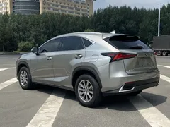 2020 Lexus NX 200 Fashion VI — фото 15