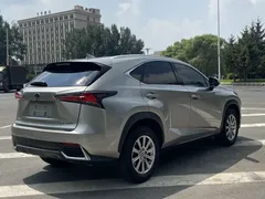 2020 Lexus NX 200 Fashion VI — фото 16