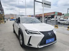 2020 Lexus UX 260h Explore·Fun — фото 3
