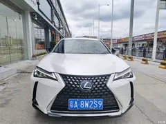 2020 Lexus UX 260h Explore·Fun — фото 5