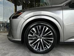 2023 Lexus RX New Energy 450h+ 4WD Enjoy — фото 11