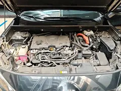 2020 Toyota Wildlander Hybrid 2.5L E-CVT 4WD Luxury — фото 10