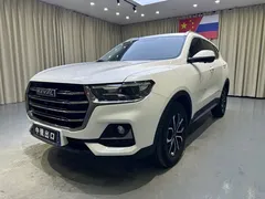 2021 Haval H6 1.5GDIT AT, белый — фото 1